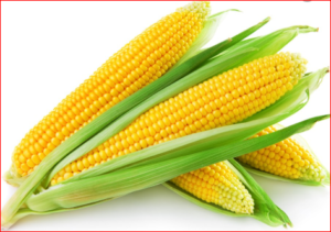 Corn Types/Forms