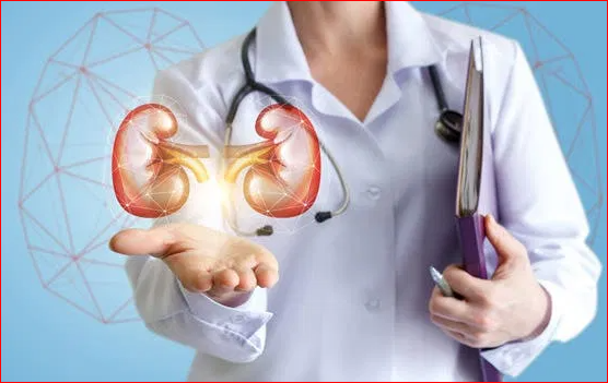 One Out Of Every Adult In Abia State Suffers Kidney Problem - NMA