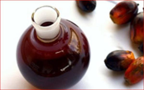 Palm Kernel Oil Benefits For Skin And Hair