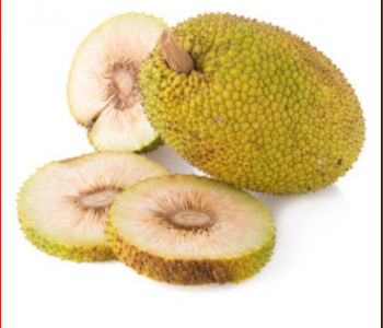 Breadfruit (Ukwa) Health Benefits And Side Effects