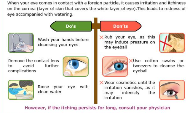 The Dos And Don’ts Of The Eyes